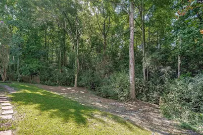 348 Blossom View Court, West Columbia, SC 29170 - Photo 42