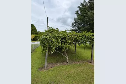 4316 Charleston Highway, Orangeburg, SC 29115 - Photo 20