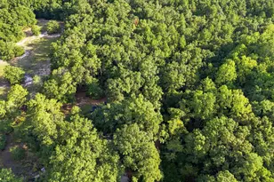 207 Lee St, Kershaw, SC 29067 - Photo 12
