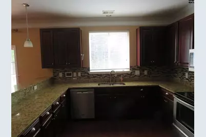 217 Creek Branch Drive, Lexington, SC 29072 - Photo 6