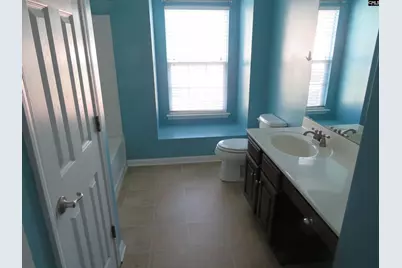 217 Creek Branch Drive, Lexington, SC 29072 - Photo 14
