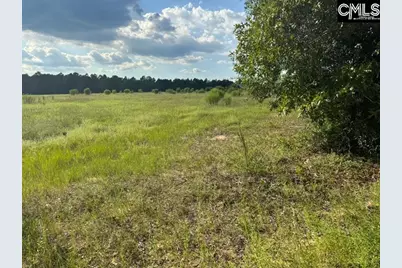 0 Mary Rawls Road, Wagener, SC 29164 - Photo 2