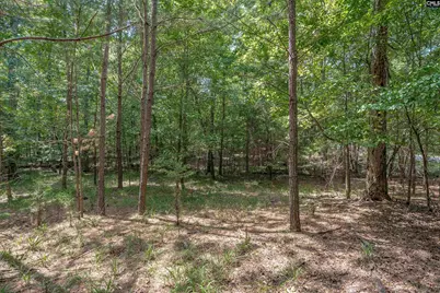231 Tortoise Trail, Batesburg, SC 29006 - Photo 6