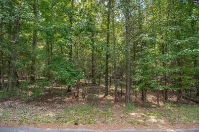 231 Tortoise Trail, Batesburg, SC 29006 - Photo 8