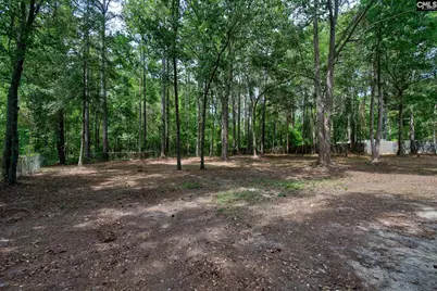 50 Nature Lane, Elgin, SC 29045 - Photo 46