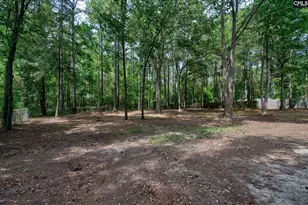 50 Nature Ln, Elgin, SC 29045 - Photo 46