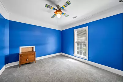 1584 Hutto Island Road, Leesville, SC 29070 - Photo 48