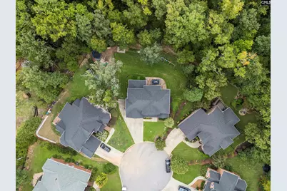 136 Hawks Ridge Lane, Chapin, SC 29036 - Photo 8