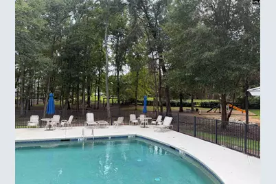 136 Hawks Ridge Lane, Chapin, SC 29036 - Photo 62