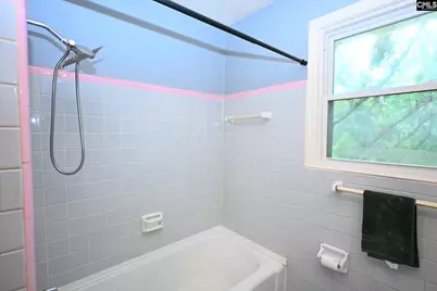 1120 Tyeu Trail, Columbia, SC 29210 - Photo 6