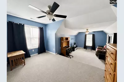 227 Letha Lane, Lexington, SC 29072 - Photo 44