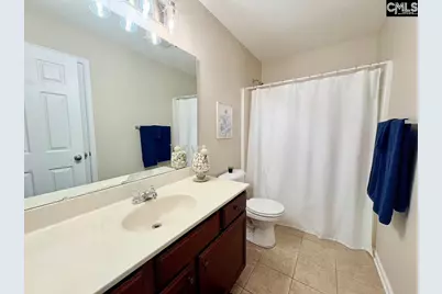227 Letha Lane, Lexington, SC 29072 - Photo 38
