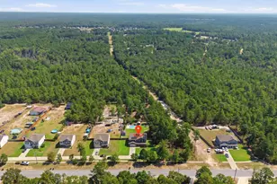 1314 Chestnut Rd, Elgin, SC 29045 - Photo 46