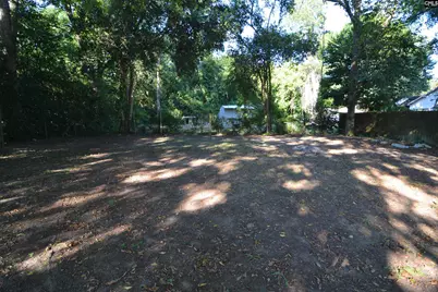 313 Durant Street, Bishopville, SC 29010 - Photo 14