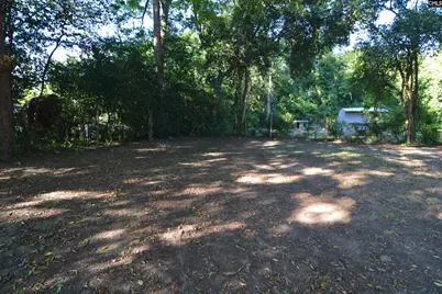 313 Durant Street, Bishopville, SC 29010 - Photo 16
