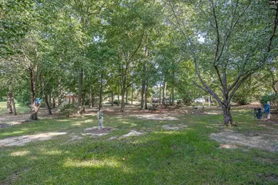 119 Meadowview Court, West Columbia, SC 29169 - Photo 38