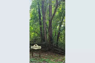 188 Wild Turkey Lane, Camden, SC 29020 - Photo 12