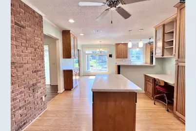 161 Woodlake Circle, Chapin, SC 29036 - Photo 32