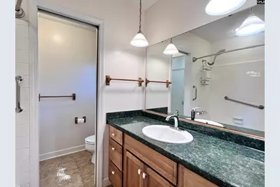 161 Woodlake Circle, Chapin, SC 29036 - Photo 46