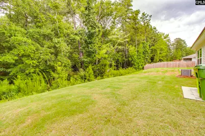 313 Fox Glen Drive, Blythewood, SC 29016 - Photo 26