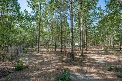 2058 Green Hill Road, Lugoff, SC 29078 - Photo 44