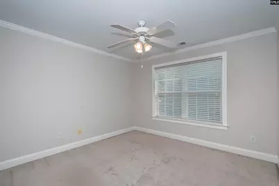 237 Bent Oak Drive, Chapin, SC 29036 - Photo 50
