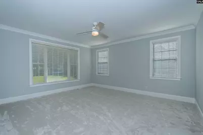 237 Bent Oak Drive, Chapin, SC 29036 - Photo 38
