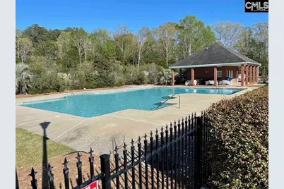 237 Bent Oak Drive, Chapin, SC 29036 - Photo 2