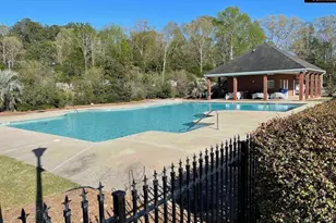 237 Bent Oak Dr, Chapin, SC 29036 - Photo 2