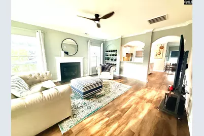 525 Malachite Lane, Chapin, SC 29036 - Photo 4