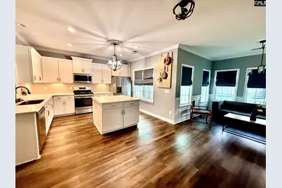 525 Malachite Lane, Chapin, SC 29036 - Photo 10