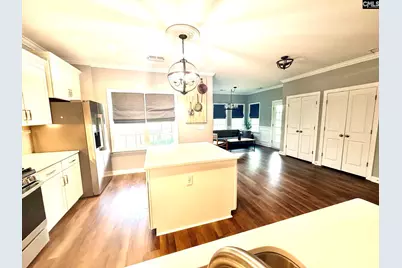 525 Malachite Lane, Chapin, SC 29036 - Photo 12