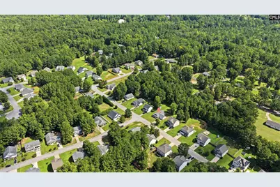 301 Blythe Creek Drive, Blythewood, SC 29016 - Photo 42
