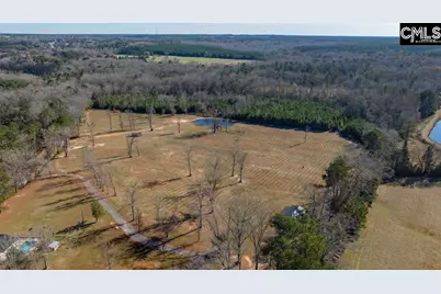 0 Cedar Grove Road, Leesville, SC 29070 - Photo 6