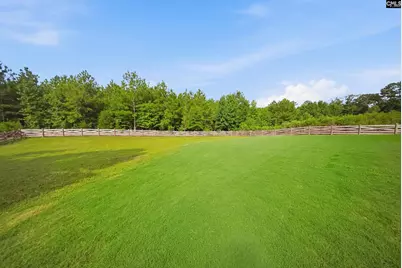 1617 Loner Road, Blythewood, SC 29016 - Photo 32