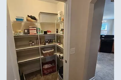 322 Spring Mist Court, Lexington, SC 29072 - Photo 24