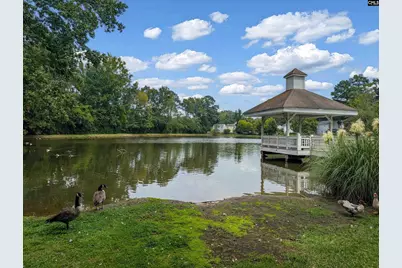 218 Village Walk, Columbia, SC 29209 - Photo 30
