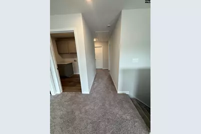 133 Pemberton Drive, Elgin, SC 29045 - Photo 12