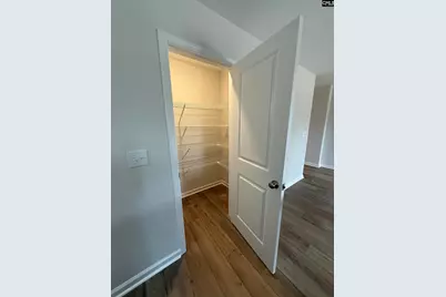 133 Pemberton Drive, Elgin, SC 29045 - Photo 8