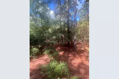 1529 Elbert Taylor Road, Pelion, SC 29123 - Photo 4