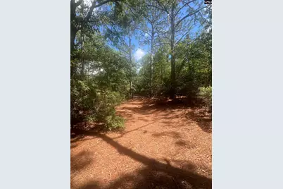 1529 Elbert Taylor Road, Pelion, SC 29123 - Photo 2