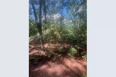 1529 Elbert Taylor Road, Pelion, SC 29123 - Photo 6