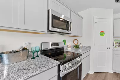 144 Calm Citadel Drive, Pelion, SC 29123 - Photo 4