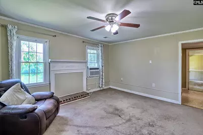 276 Bodie Road, Pelion, SC 29123 - Photo 10