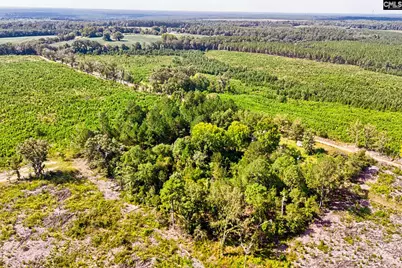 276 Bodie Road, Pelion, SC 29123 - Photo 34