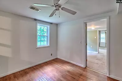 276 Bodie Road, Pelion, SC 29123 - Photo 20
