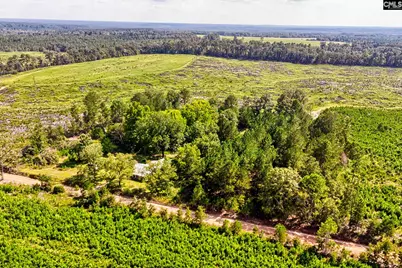 276 Bodie Road, Pelion, SC 29123 - Photo 36