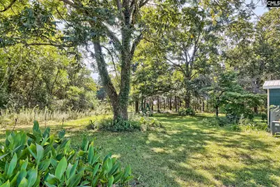 276 Bodie Road, Pelion, SC 29123 - Photo 8