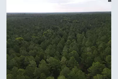 Tract 2 Bridle Path Road #Tract 2, Camden, SC 29020 - Photo 6