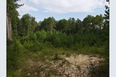 Tract 3 Bridle Path Road #Tract 3, Camden, SC 29020 - Photo 8